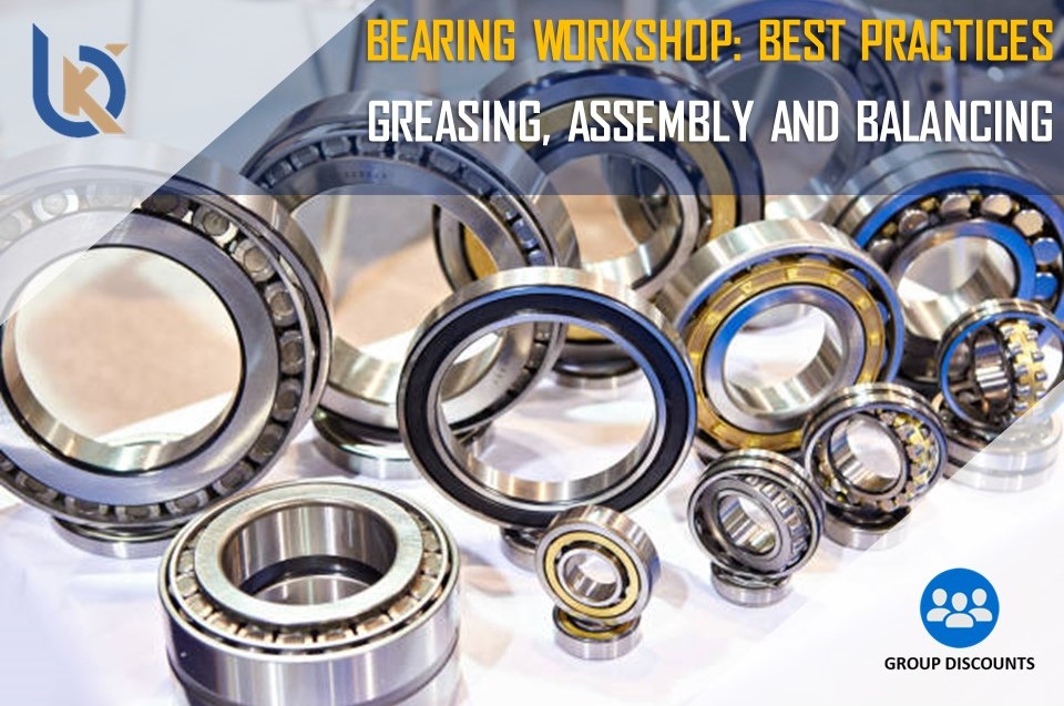Bearing Workshop - Best Practices - Greasing, Assembly and Balancing